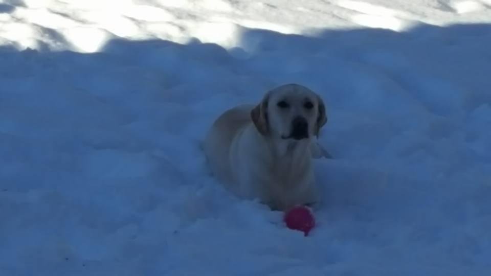 Mia "I not coming in, I want to play more"