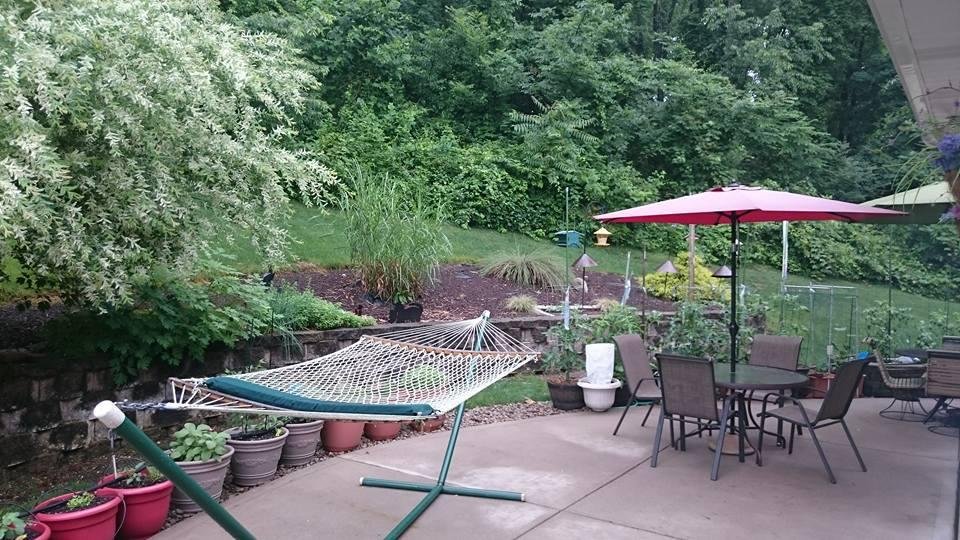 The backyard at my Dad's house in Greensburg PA.