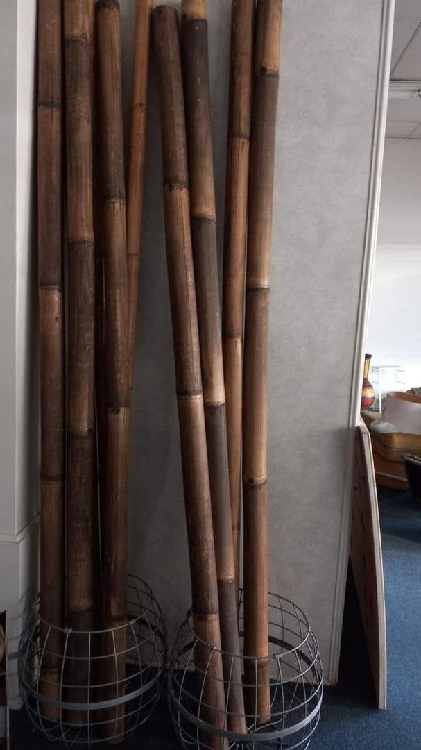 These are one of a kind bamboo sticks you can place these anywhere in your home inside or out office also