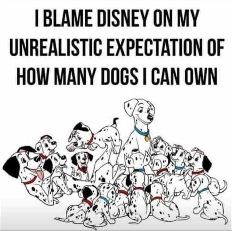 Roberta Goldberg's album, Timeline photos