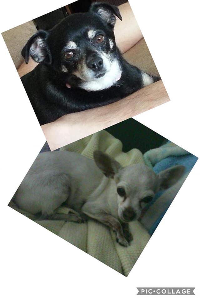 And of course Trixie and Princess