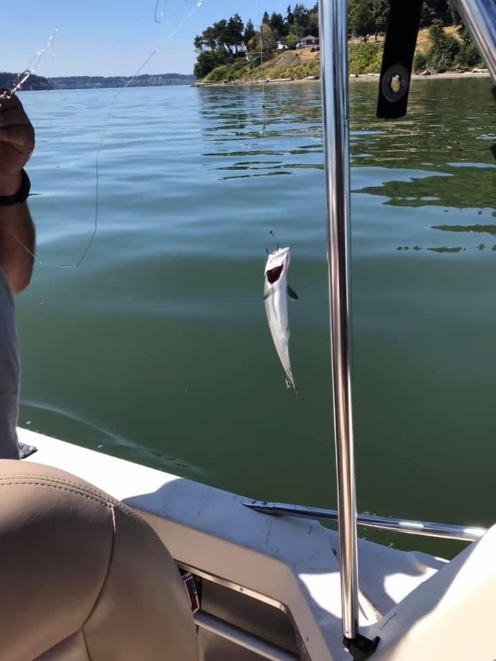 We didn’t get skunked