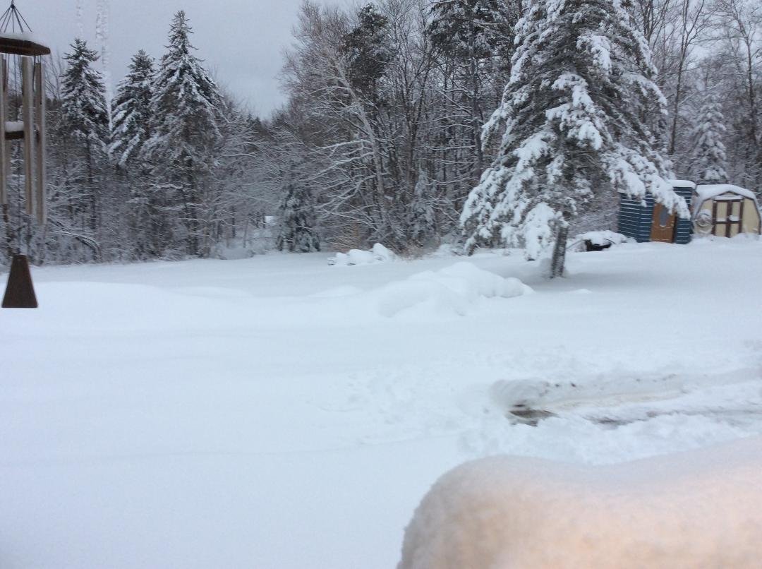 About one foot Florida, Ma. Where’s my snowmobile?