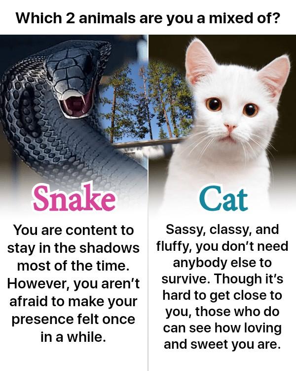 Donna Tumey's album, Timeline photos