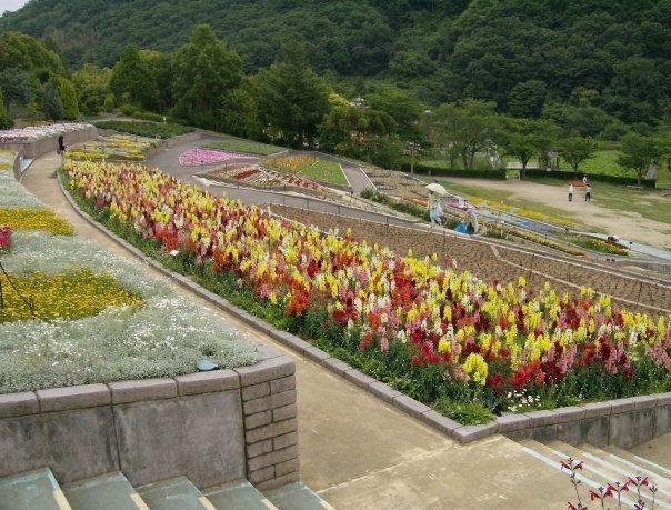 Robert Coats' album, Coats Family in Japan (2007-2008)