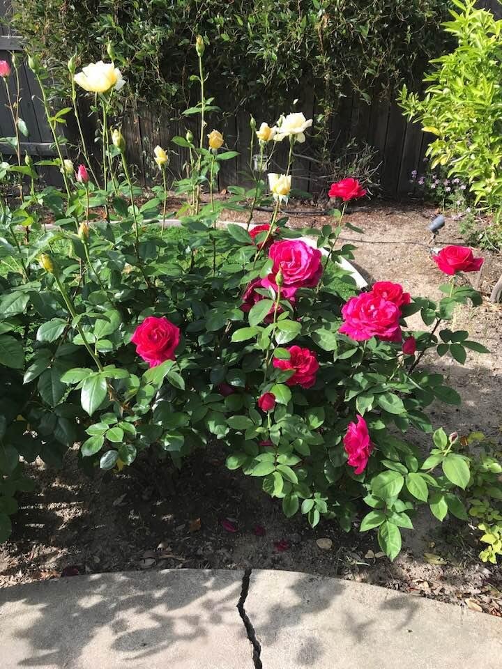 Lilli Schilling's album, Timeline Photos