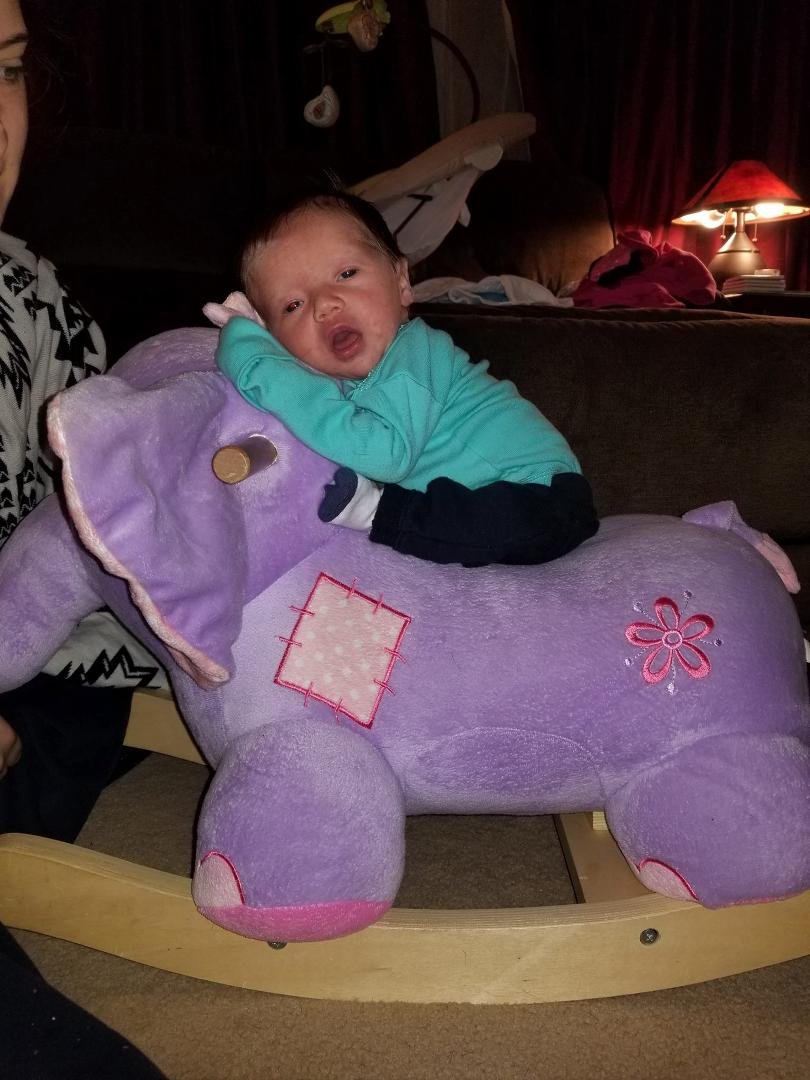 Simon Janis' album, Timeline Photos