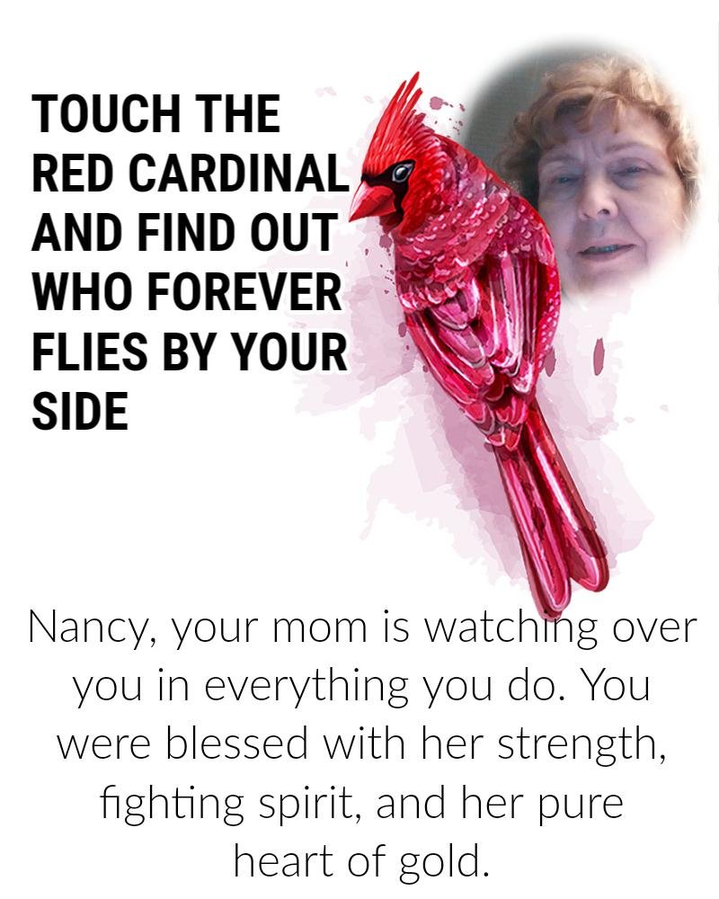 Nancy Kanczuzewski Huff's album, Timeline photos