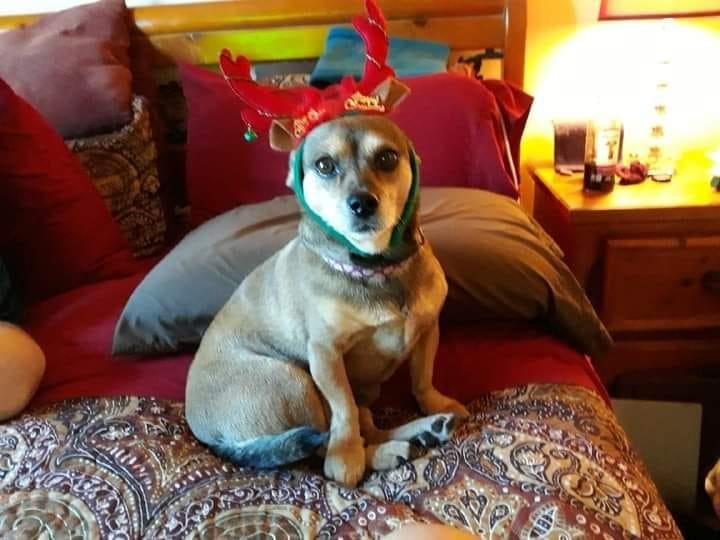 Feliz Navidad