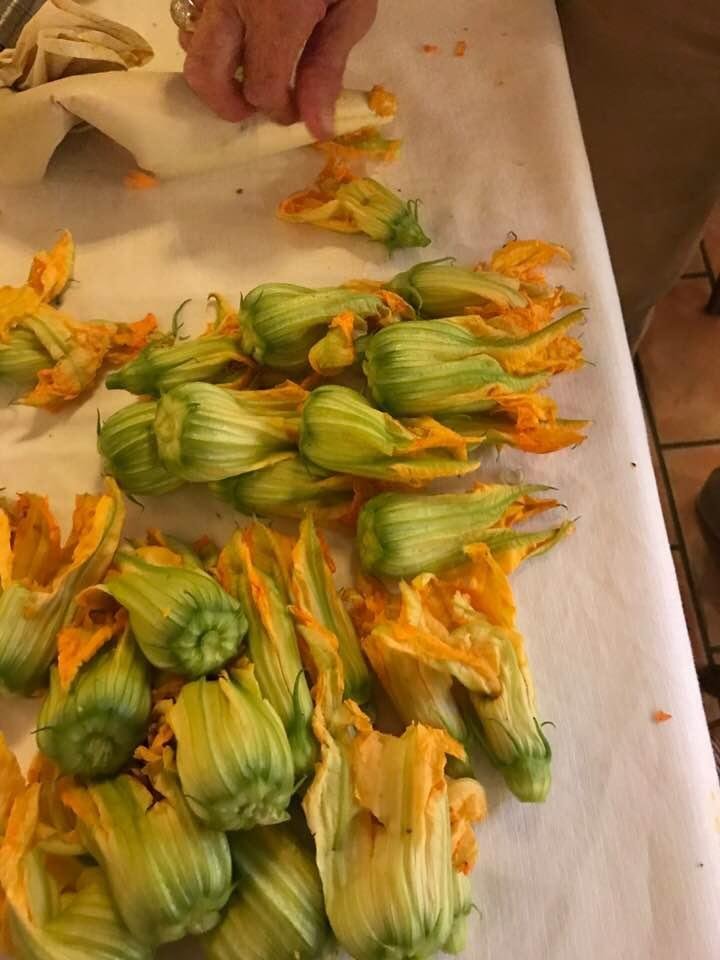 Zucchini flowers...yummy
