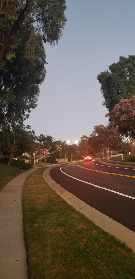 The moon looks like a cookie