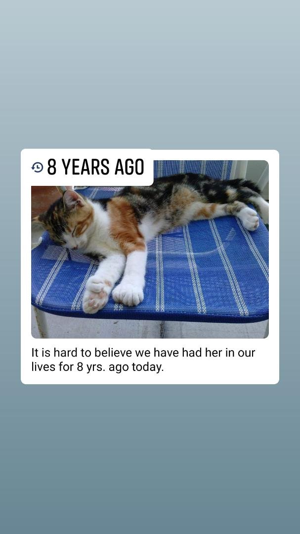 Barbara Hope's album, Mobile Uploads