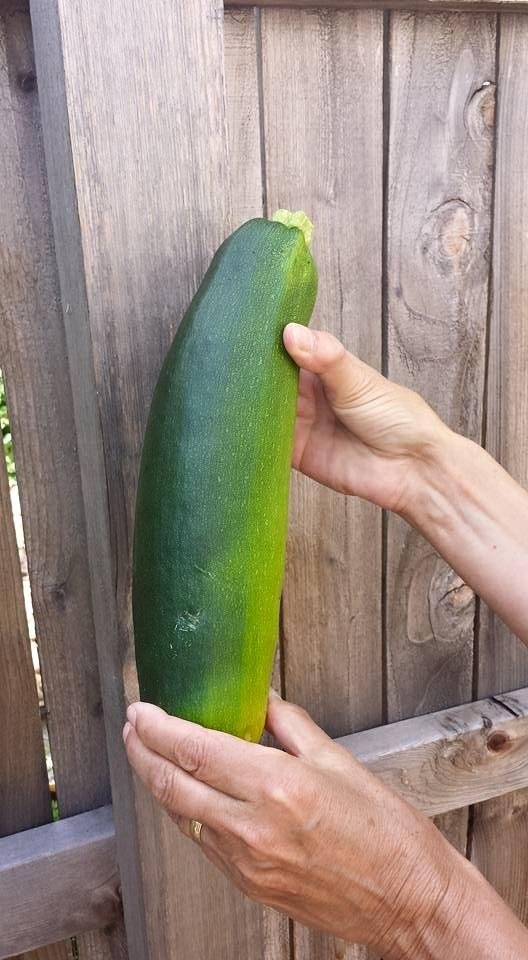 Size matters! :-) Daddy Zucc.