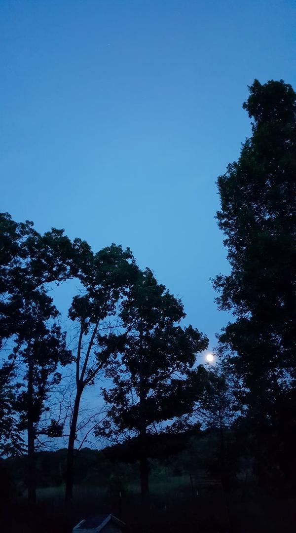 Full moon arising. If the moon can effect the ocean think how that moon effects us and everything on earth. Set your intentions well . Have a good evenin..