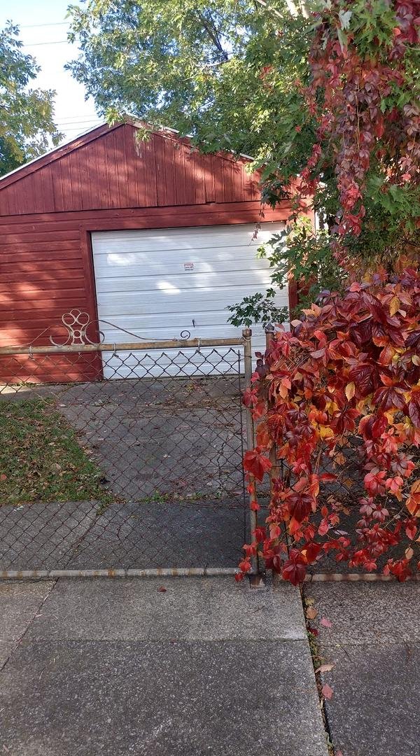 Pretty fall leaves on the fence contrasting with the still green leaves, at my mom's house.