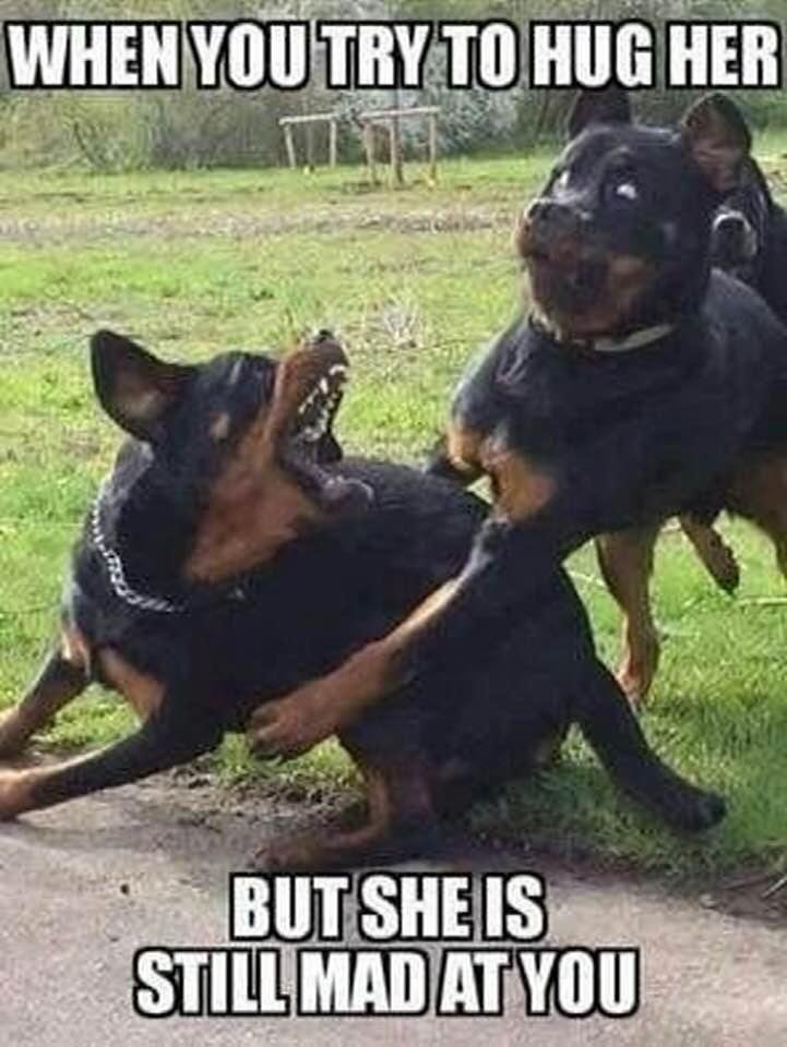 😂😂