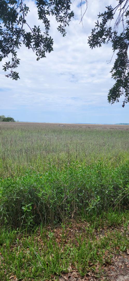 A little hard to see, but in the middle distance is the bridge to Edisto Island. If you leave from the spot where I took the picture it is 78 miles 1 h 38 m.