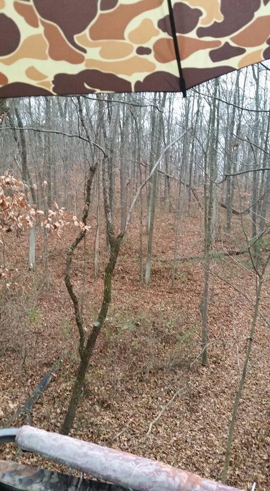 Last day of muzzle loader season.  43 degrees, not too cold, listening to the rain...relaxing!   All I need now is my recliner, a blanket and a cup of hot chocolate.   Of course it wouldn't hurt my feelings if a big buck ca