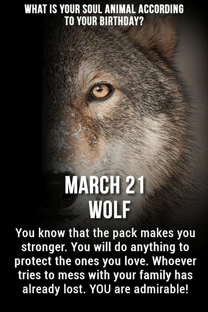 Robert Tracy's album, Timeline Photos