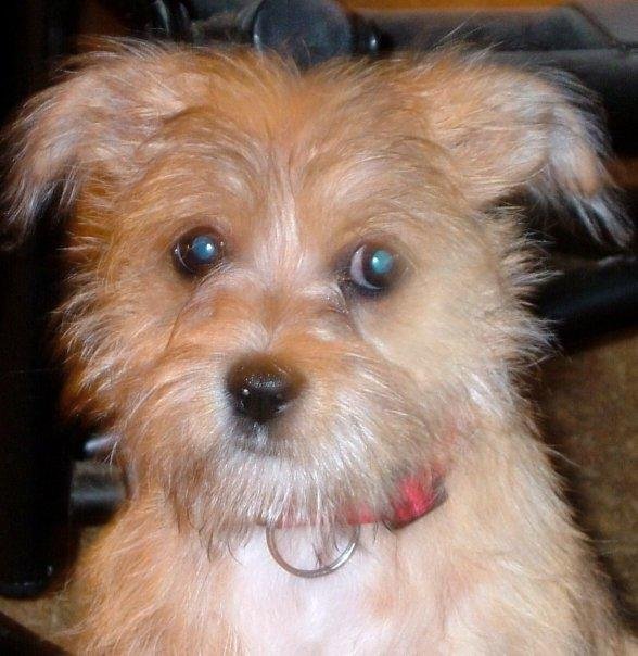 my best kid (he minds me) but he's having a bad hair day