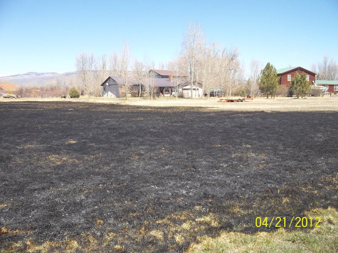 So the neighbor thought it was a good day for a controlled burn. I think it wasn't