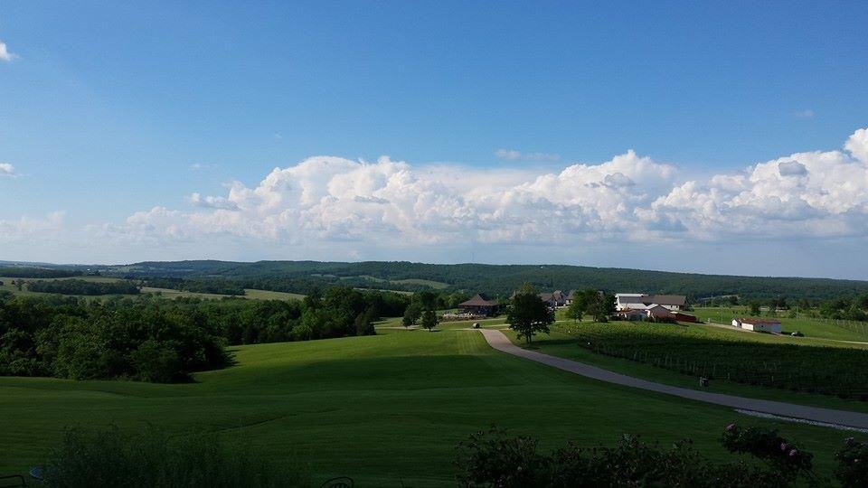 Grand time at Chaumette winery with my best bud Kim Dillon.