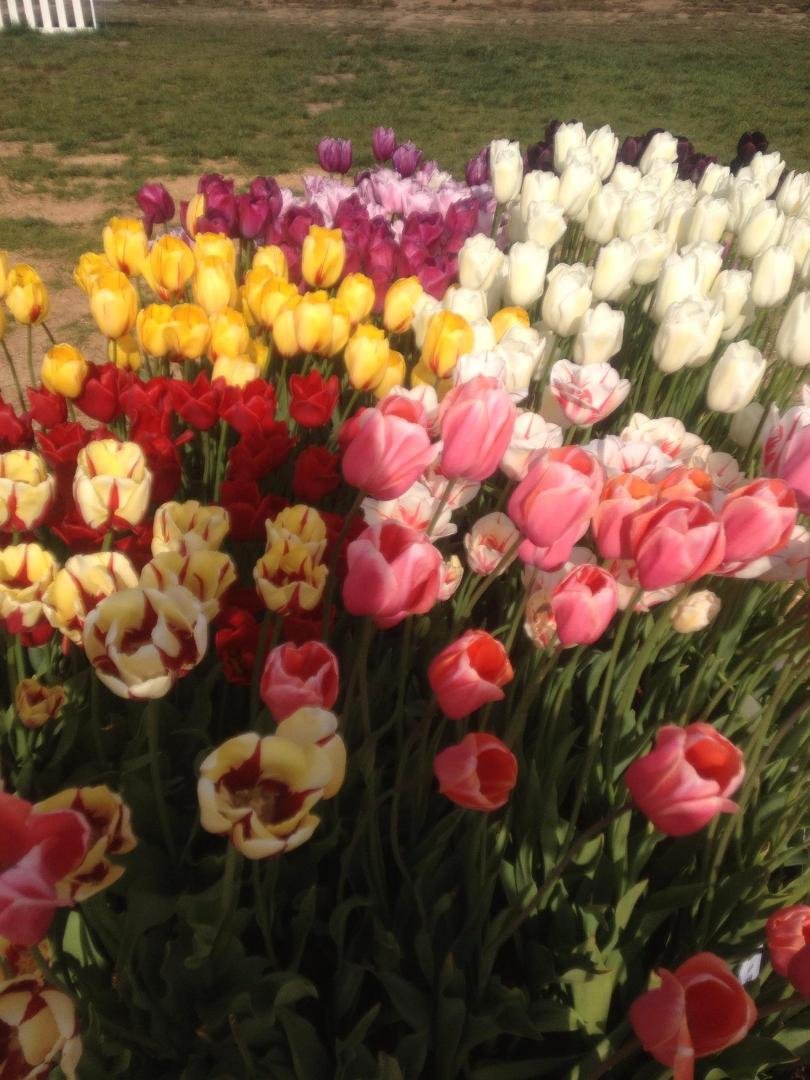 Marilyn Grause's album, Timeline Photos
