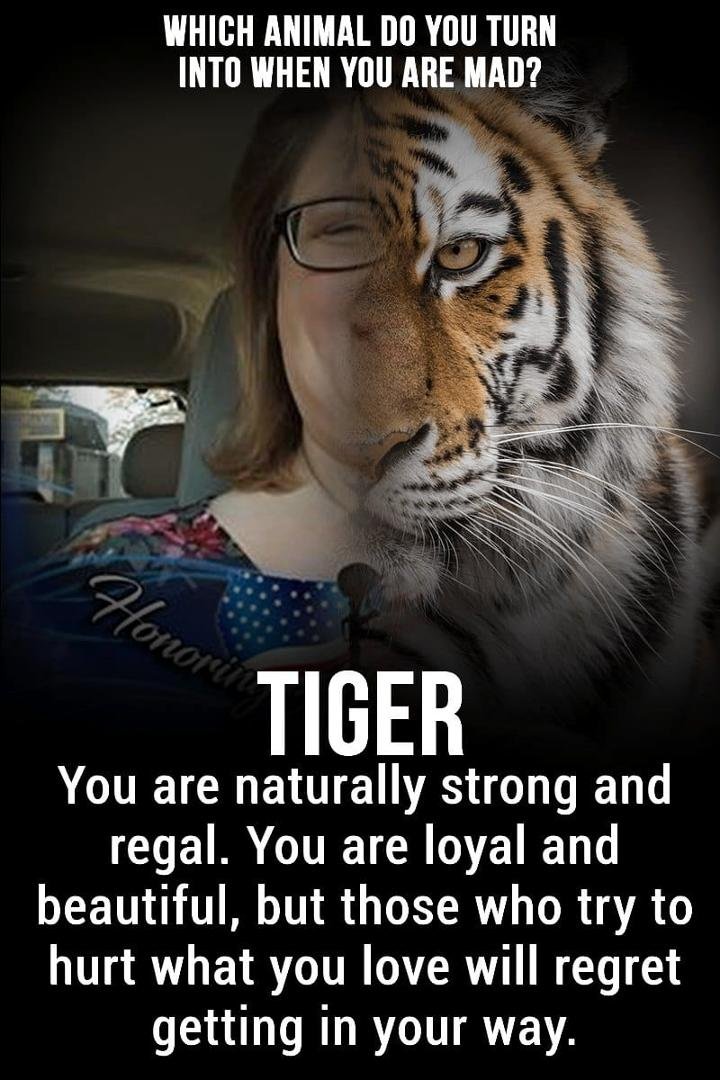 Hear me roar!