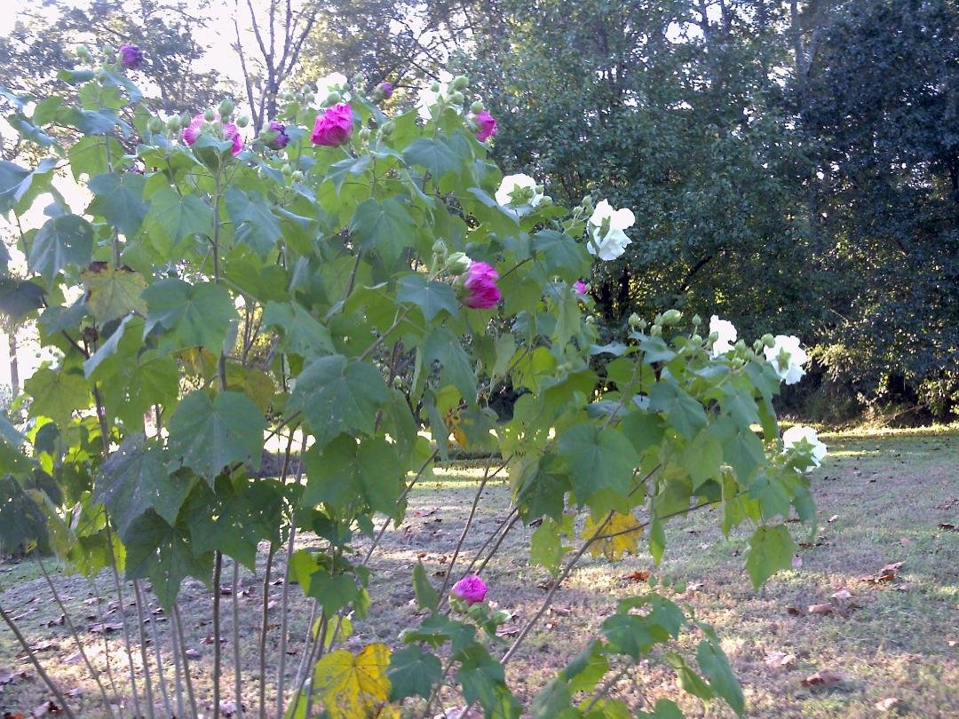 Peter Schwab's album, Timeline Photos