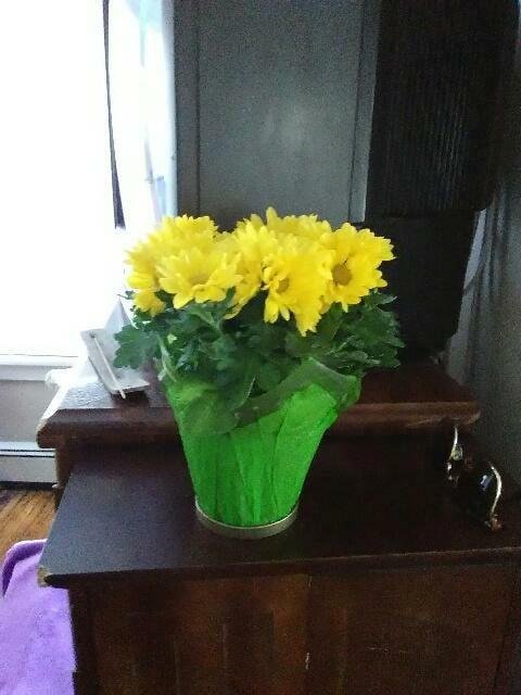 Thank you Tammy for brightening my day! I've got THE best neighbors, just sayin'.