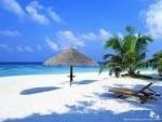 I'm heading out with the Wife for my Birthday to hang at the Beach House for a week! Woohoo!