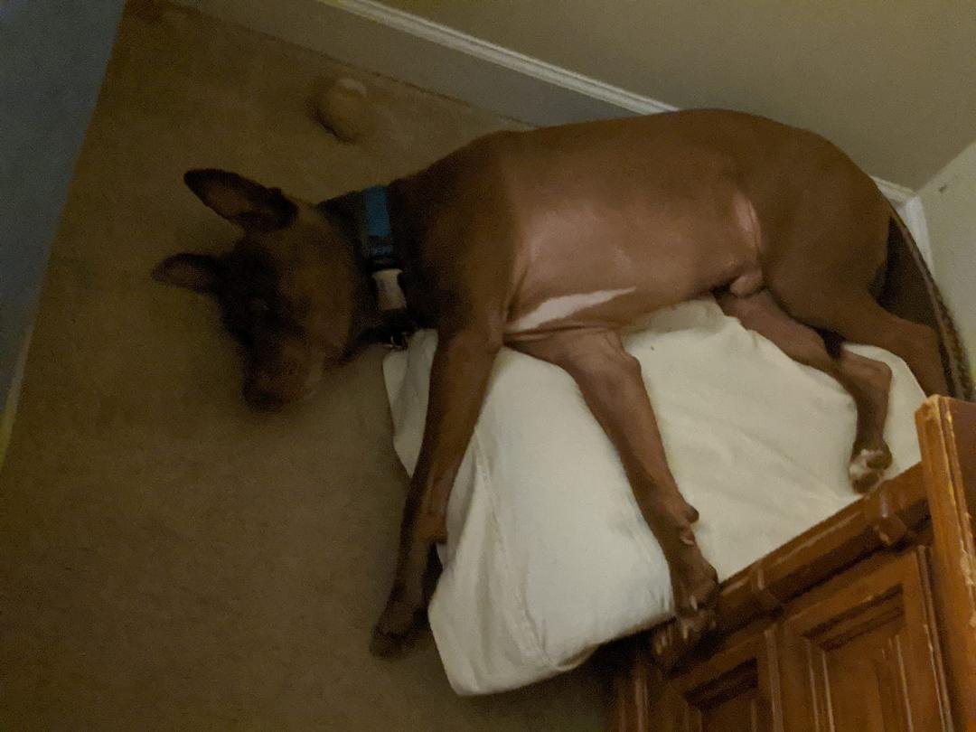 Had a hard day at playing today. Had to keep my social distance. Had a good time with Mommy and Daddy today