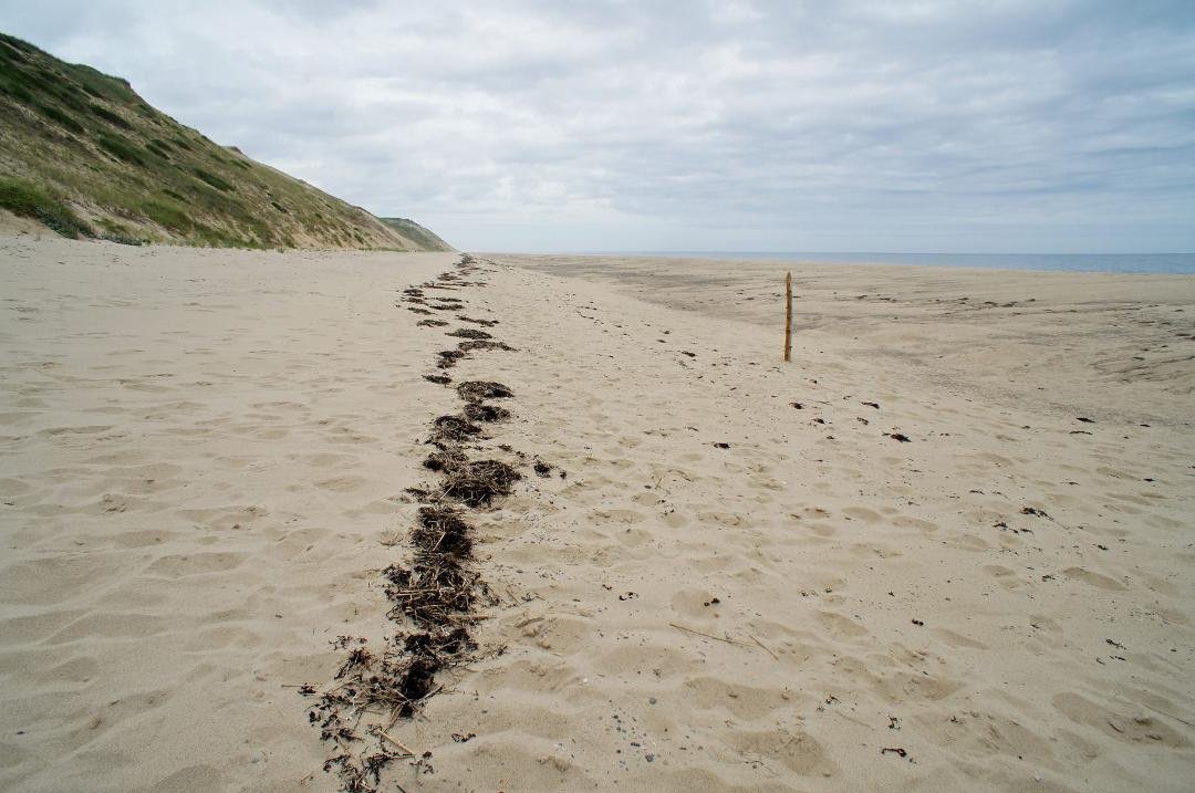 At the base of High Dune, Truro