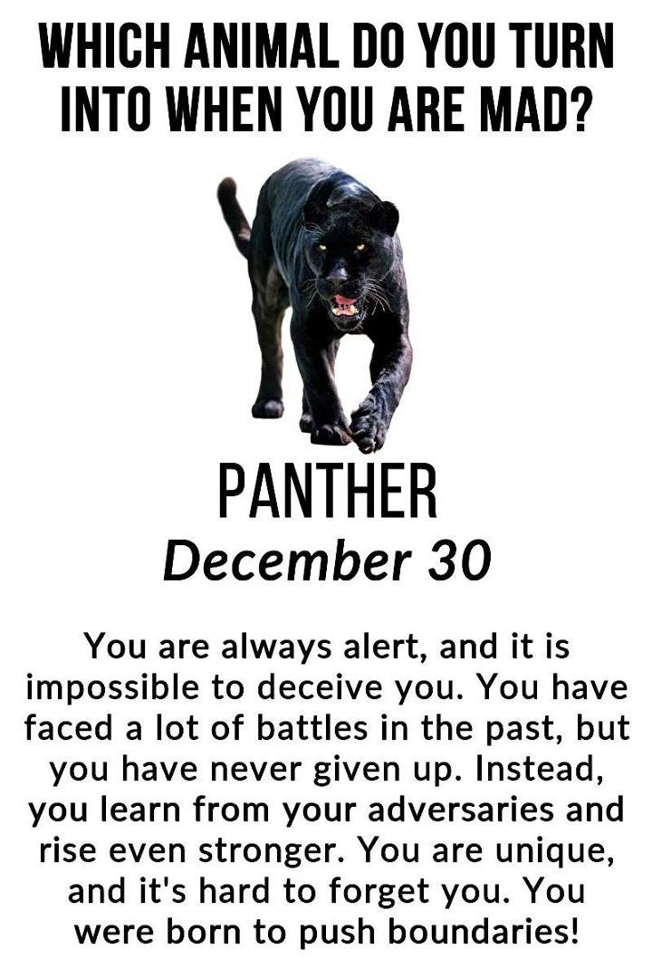 Donna Sako's album, Timeline Photos