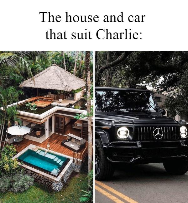 Charles Defesi's album, Photos