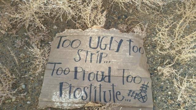 My sister and brothet-in-law's company is working in Nevada right now and my sister took the dogs for a walk this morning and came across this
