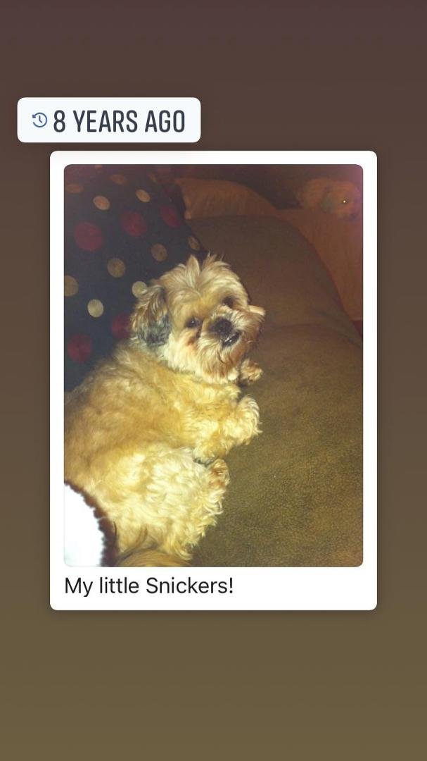 Sandra Dixon's album, Mobile Uploads