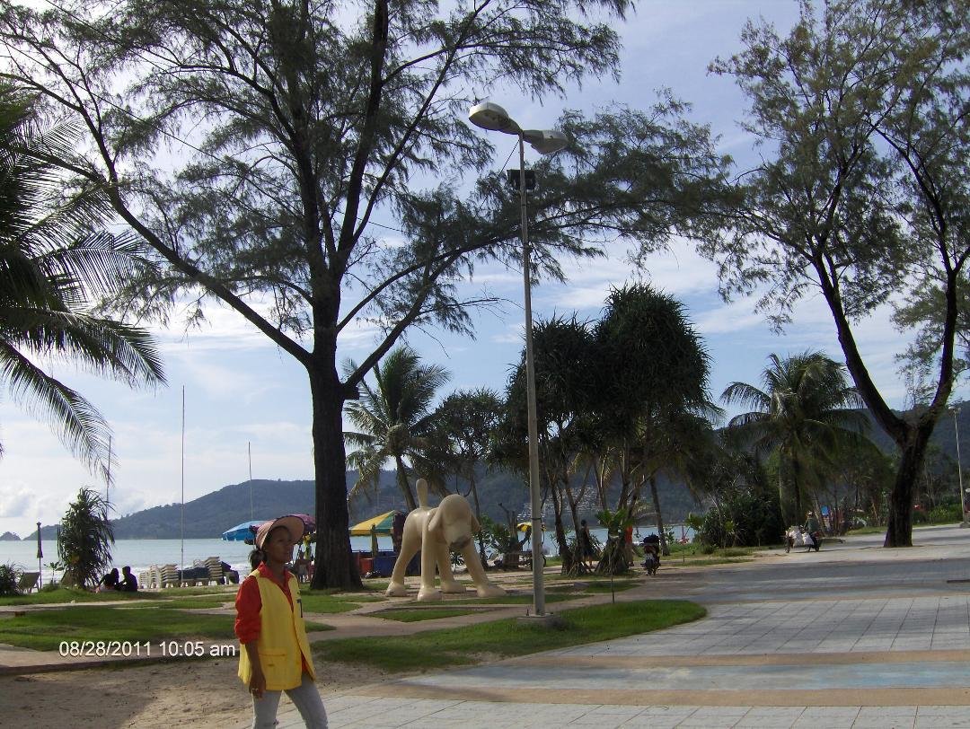 Dolphine at Patong Beach in Phuket Thailand