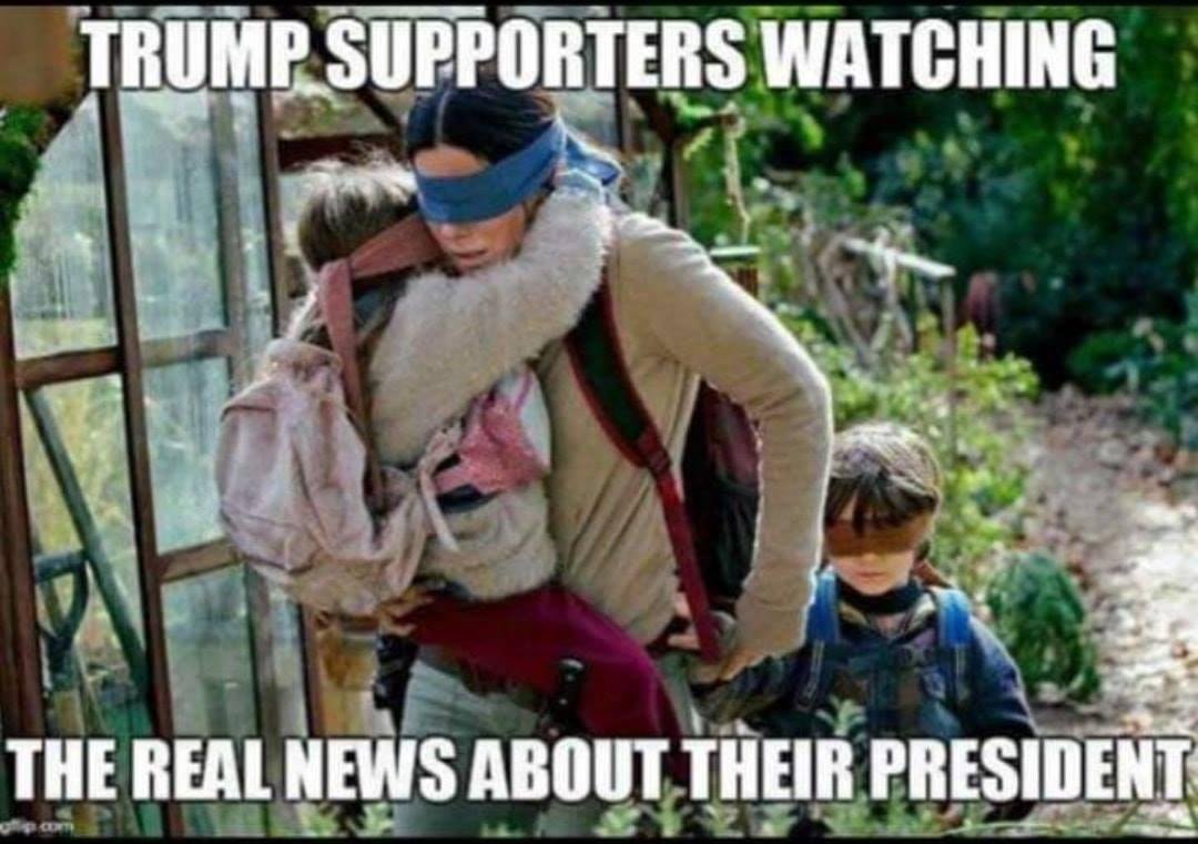 Exactly!!!!!!! (see Birdbox!!)