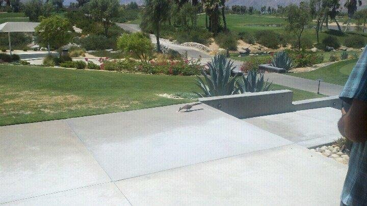 Sharing brunch with a roadrunner in PS