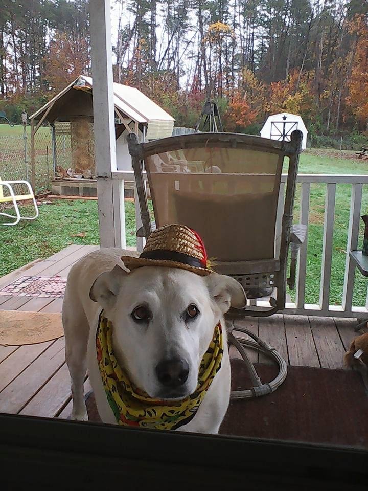 raymond senter's album, Timeline Photos