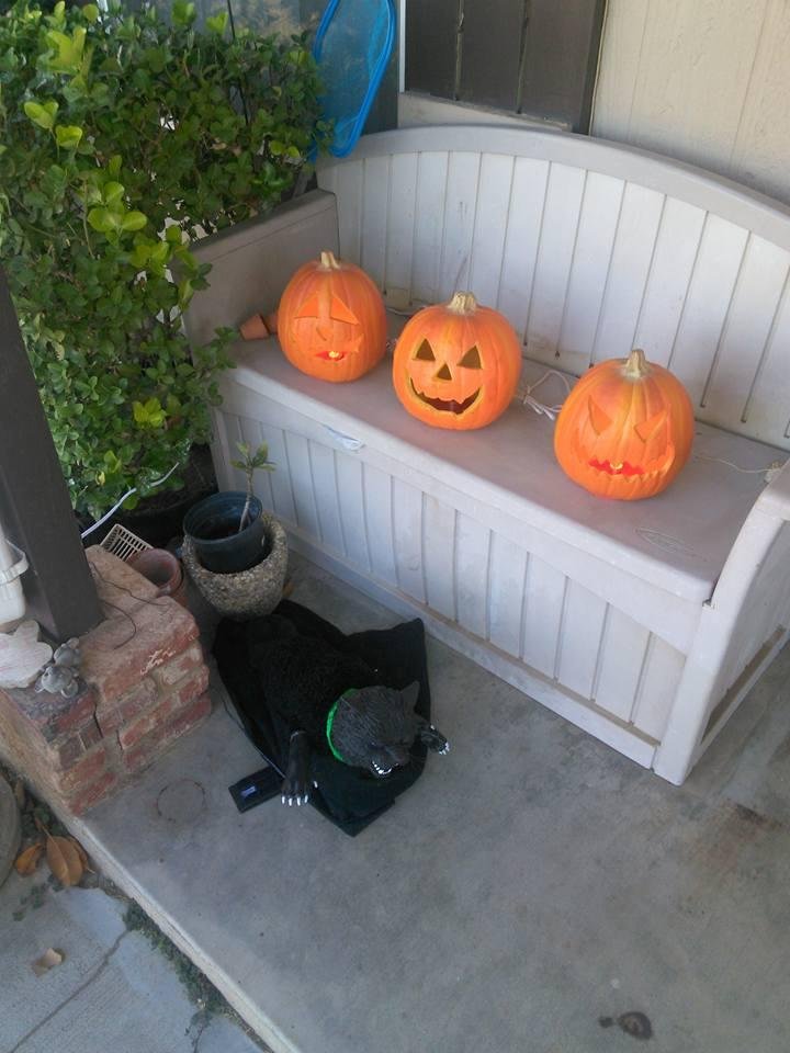 Grant Esteb's album, Mobile Uploads