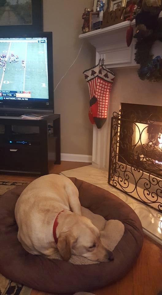 Got the couch back!
