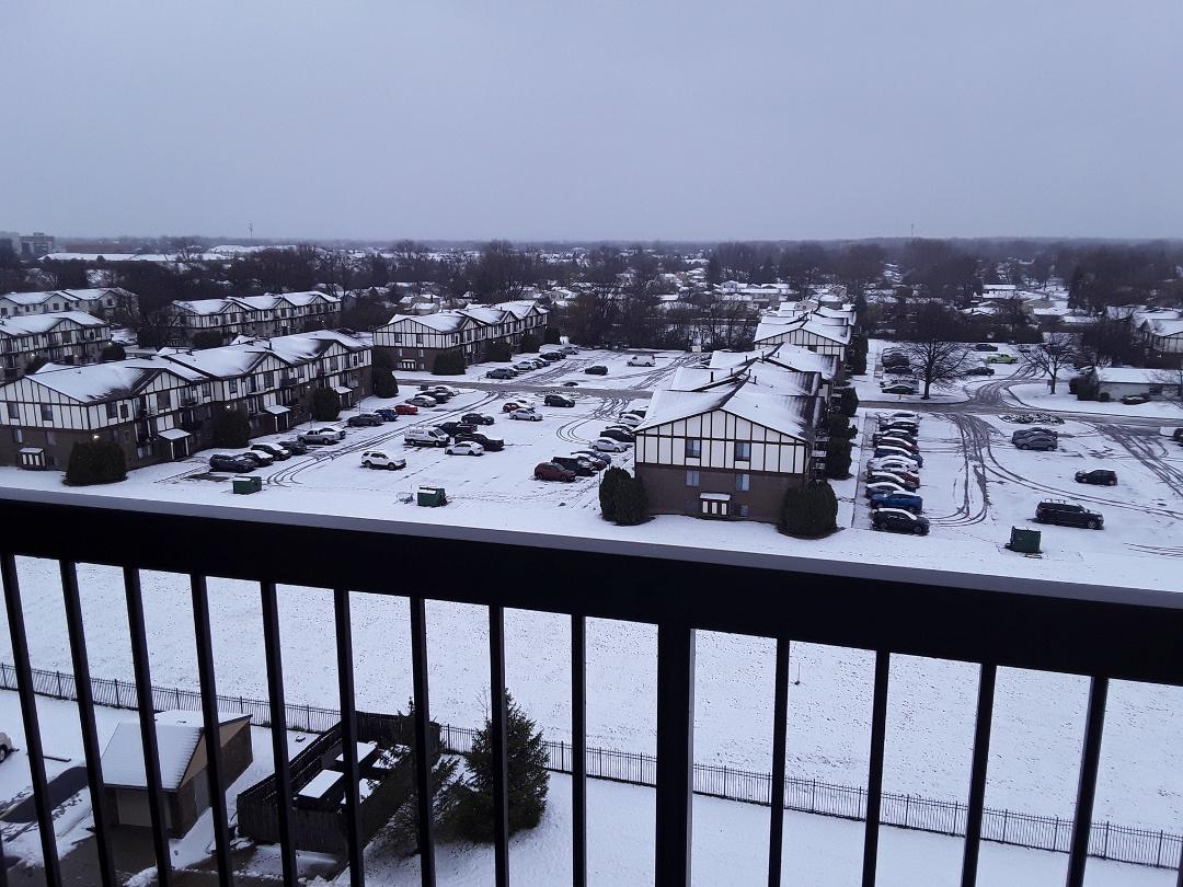 Barely a dusting, but it is a Wintery look!