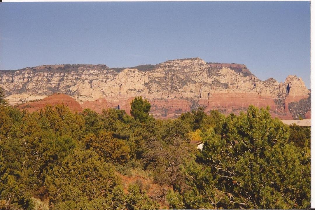 back view on a clear day