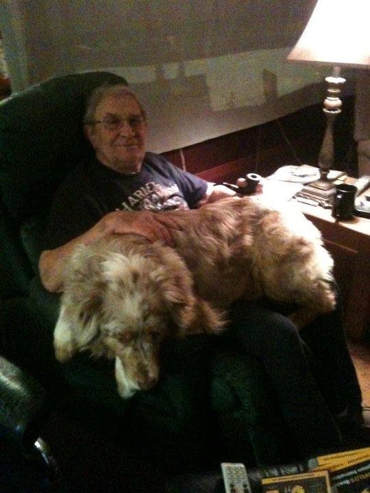 My big lap dog Carson