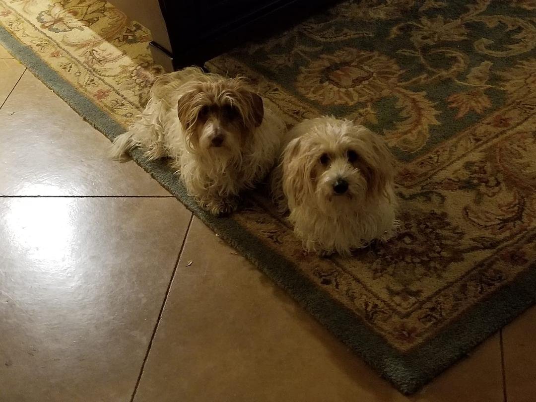 Piper and Phoebe.