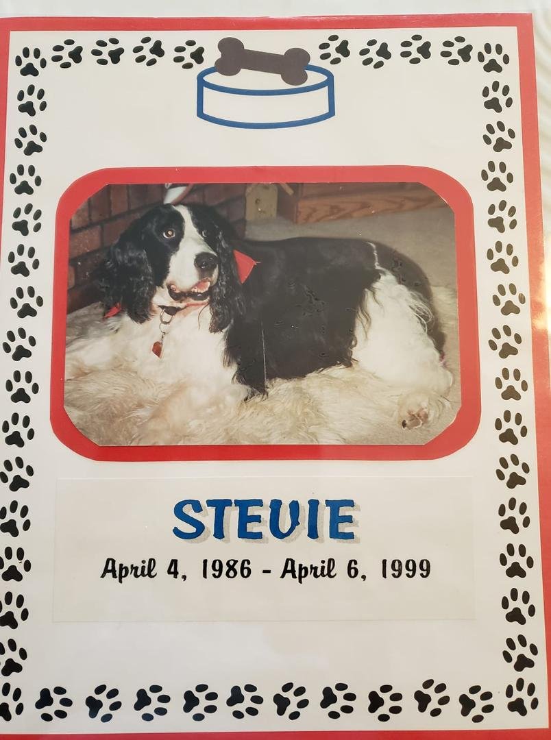 Stevie would have been 33 today. Wow!
Still miss him. 😥 He was one of a kind.