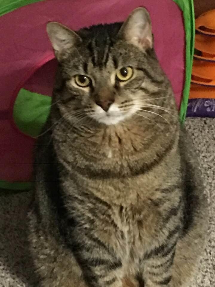 My baby