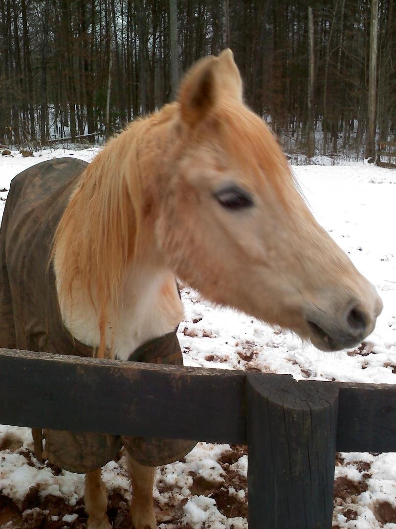 My dear sweet Magic. I will miss her